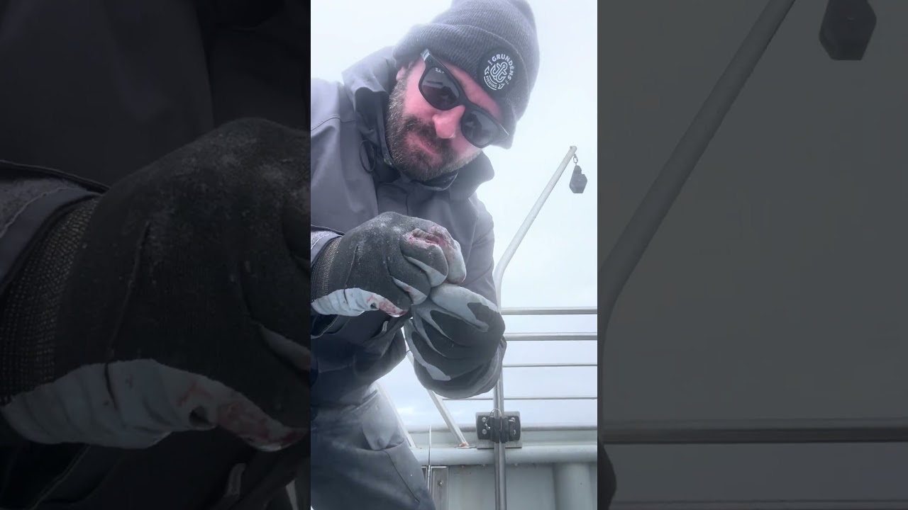 Time to get your freezer stocked up! Dockside Charters #fishing #shorts #saltlife #pnw