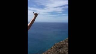 HAWAII mannequin challenge
