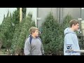 Local Scout Troops Sells Christmas Trees