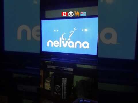 1 Dkids 2 Corus 3 Nelvana 4 Redknot 2020