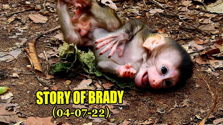 STORY OF NEWBORN BRADY, THE SON OF ABANDONED MOM L...