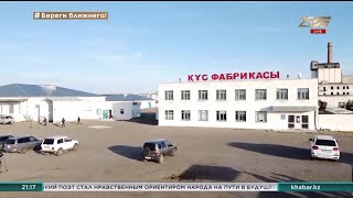 Из-за птичьего гриппа закрывается крупная птицефабрика в Аркалыке