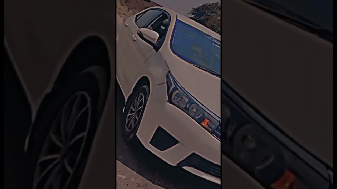 Salim Habib Education complex T.T.S Annual university Function 2023 Riding Vedio