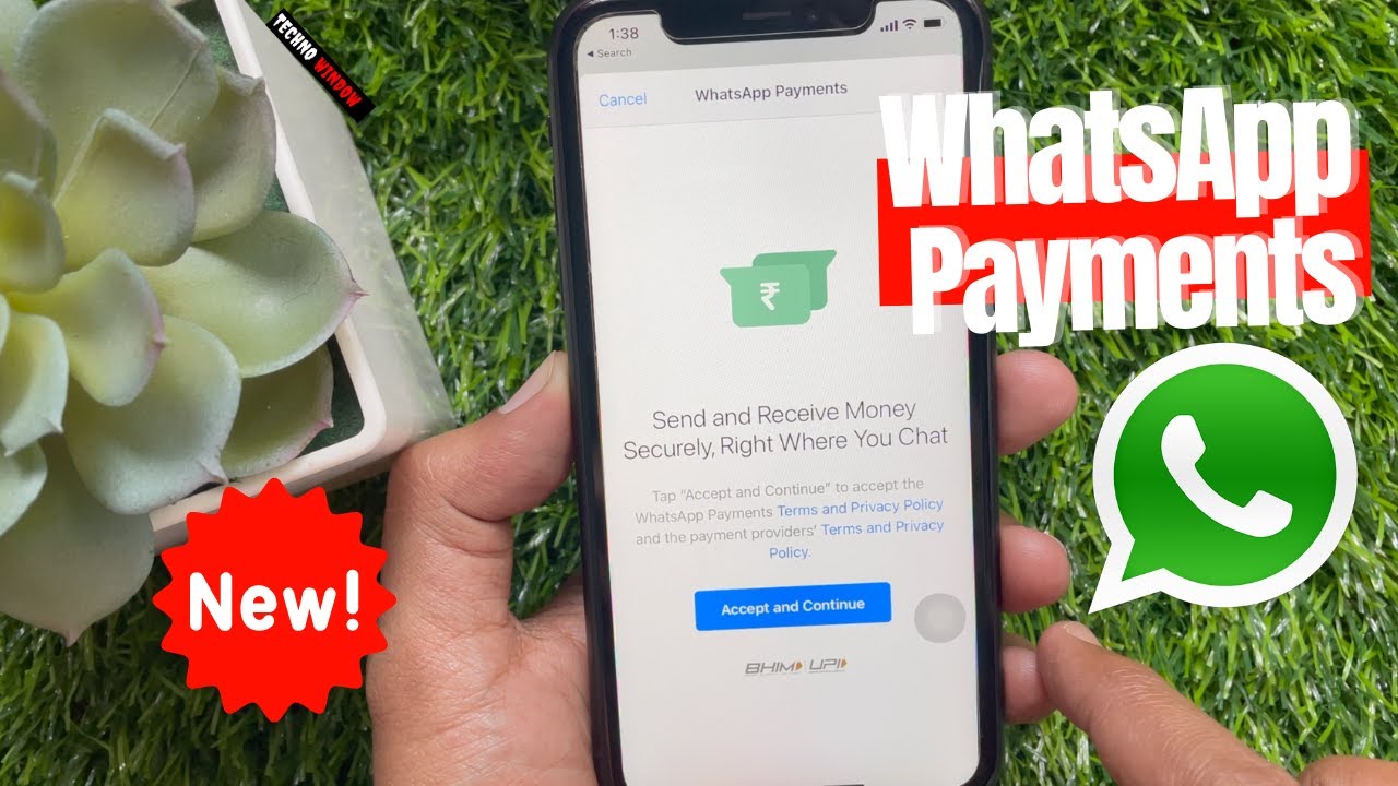 How to Use WhatsApp Payment Feature | How to Setup WhatsApp Payments ...