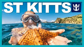 INCREDIBLE  SNORKELING | St. Kitts Shore Excursion | Royal Caribbean Cruise