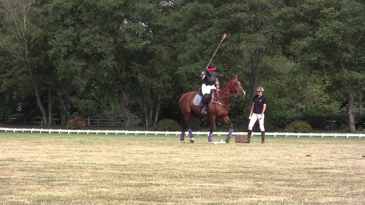 Polo Clinic Aug 15-15 - 4