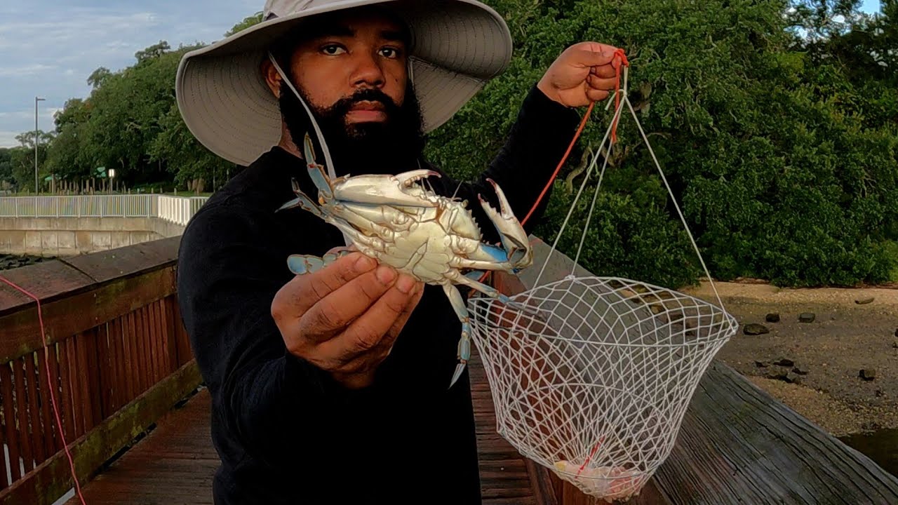 How To Catch Blue Crabs Using 2 Ring Crab Nets and Chicken From A Fishing  Pier!!! North Florida!!! 