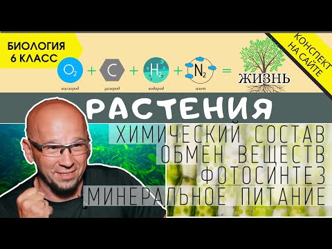 Фотосинтез. Минеральное питание растений. Биология 6 класс. Химический состав растений Обмен веществ