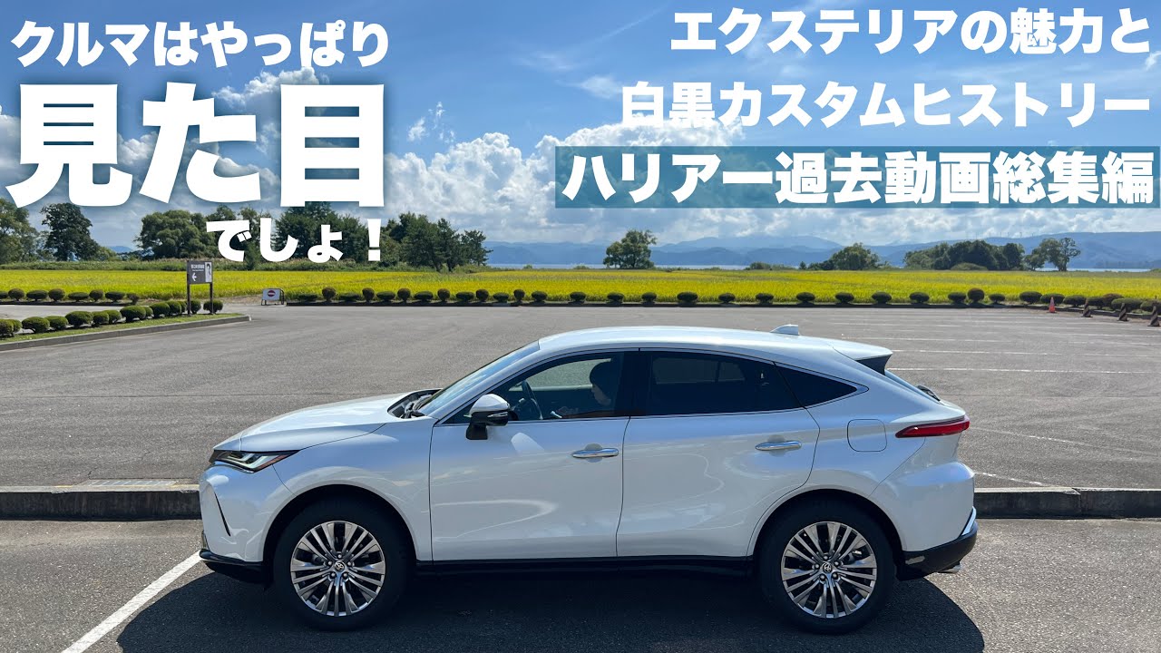 Harrier Compilation] Love at first sight! Introducing the charm of