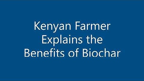 Biochar Success with Corn, Kenya