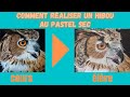 tuto comment dessiner un bec et les plumes d un hibou au pastel sec