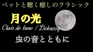 ペットと聴く癒しのクラシック【月の光】Clair de lune / Debussy　虫の音とソルフェジオ周波数