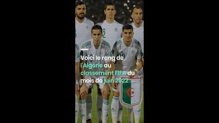 Voici le rang de l'Algérie au classement FIFA du mois de juin 2022
