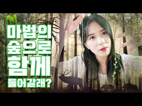 ASMR 한국어 숲속요정 만나러가기 2편 | Makeup Brush Sounds