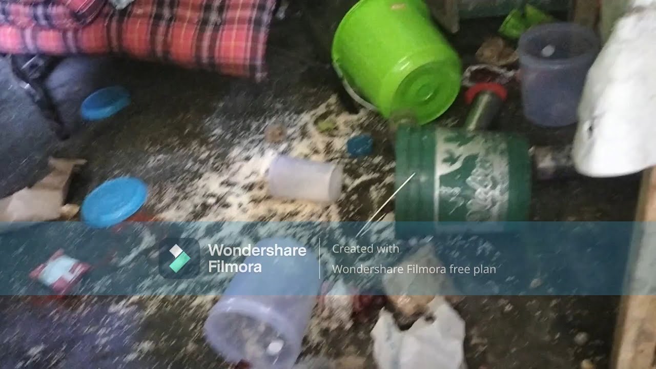 Who is the culprit? Kitchen ransacked ...