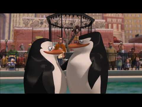 მადაგასკარის პინგვინები სასაცილო მომენტი