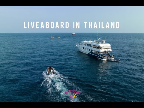 “Liveaboard in Thailand”