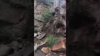 Puesto las Higueritas Gran china ( Jáchal San juan)