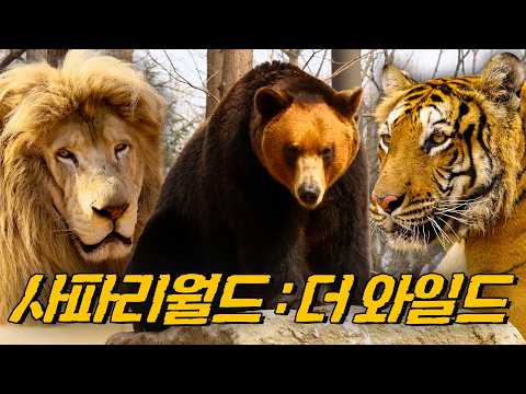 [4K] 맹수의 왕국｜#사파리월드 #<strong>더와일드</strong> #다큐멘터리