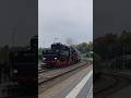 52 8141 5 (Giesla) kommt am 11.10.2025 von Löbau(Sachs) in Zittau eingefahren 💯💯😍😍