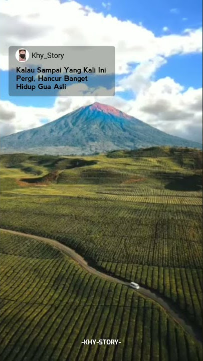 STORY WA AESTHETIC TERBARU FULL SCREEN || LITERASI KEREN || DJ QUOTES
