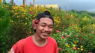 Viral Status whatsapp (kreasi anak kampung)