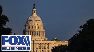 'YOU'D BE FIRED': If you ran anything the way Dems run our government, Piro says