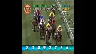 Northerly - 2003 Australian Racehorse of the Year.f4v
