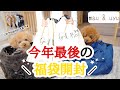 犬福袋が豪華すぎてママさんがぶっ壊れるw【GODPIVA/ゴッドピバ】