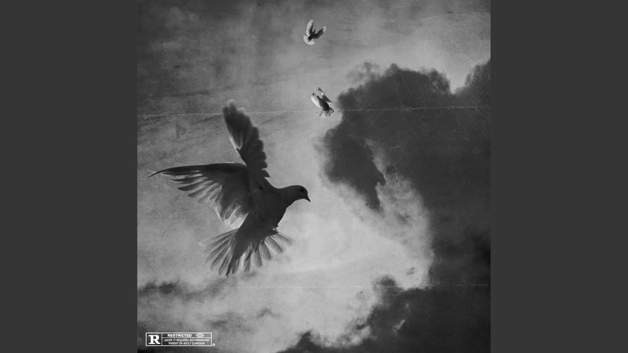 Смотреть «E» на YouTube Смотреть «E» на YouTube