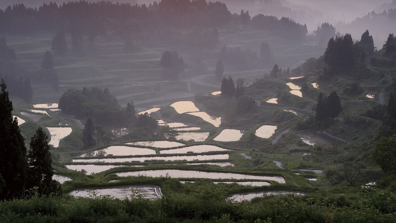 【新潟県十日町市】とおかまち移住部ラヂオvol.114 with コカイ、ふくみか　『つなぐ棚田米がスタート！』