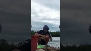 Kobkob Mga Goys Heha Aw Aw Myawk Myawk Yes Yes No No Nyahaha