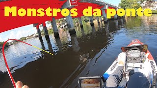 Pescaria De Robalo Gigante Só Monstros Nessa Ponte