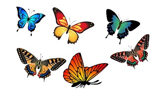 ,animated butterfly hd video background, butterfly video short video,