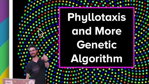 Live Stream #54 - Phyllotaxis and More on Genetic Algorithms