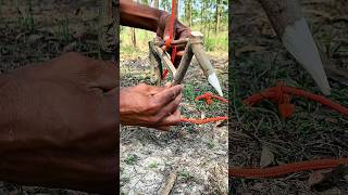 Survival trap creative skills. #trap #creative