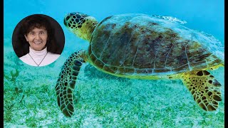 Discovering Biodiversity: Going Beyond the Limits of Our Eyes