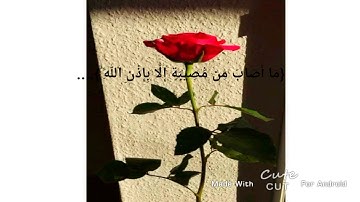القارئ:رعد الكردي(مَا أَصَابَ مِن مُّصِيبَةٍ إِلَّا بِإِذْنِ اللَّهِ )سوره التغابن ❤