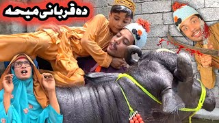 Da Qurbani Meha Eid || Pashto New Funny Video 2023 By Tuti Gull Vines