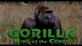 Gorilla: King of the Congo (1993)