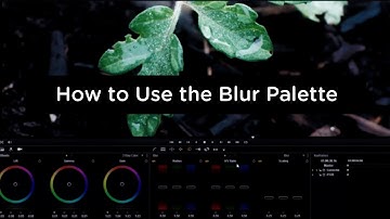 DaVinci Resolve 9 - How to Use the Blur Palette