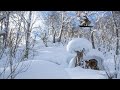 Gambaro full movie  volcom snowboarding  veeco productions  2021