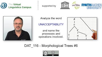 DAT_116 - Morphological Analysis: unacceptability