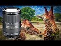 BEST Kit Lens Upgrade for Zoo and Landscape Photography?