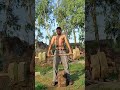 Gym workout 🏋️#trending #video #homeworkout #hardworkout 💪#fitness #video