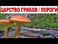 Поход в Карелию на байдарке. Река Кузема после озера Кутно