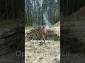 Opinions? Deep down we all have a built in love for fire 🔥. Listen to that sound!! #fire #nature