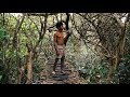 Primitive Technology, Build Bridge Over Giant Lake To Tree House Part 1 Primitive Technology, Build Bridge Over Giant Lake To Tree House Part 1