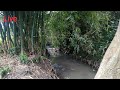 Live Di Pinggir Sungai Mendengar Suara Kicauan Burung Mp3 - Mp4 Download