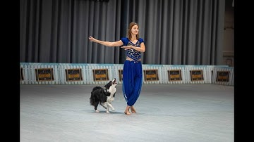 Anastasiia Beaumont and Salsa. Dogdance Open European Championship 2023, category Heelwork to Music